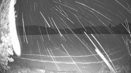 Image from 2025-01-11