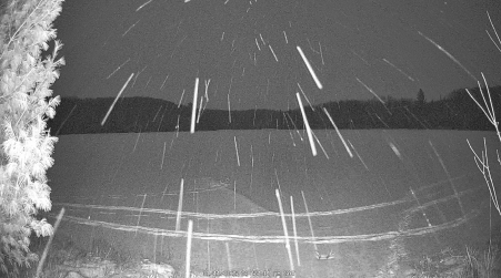 Image from 2025-01-11