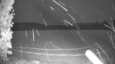 Image from 2025-01-11