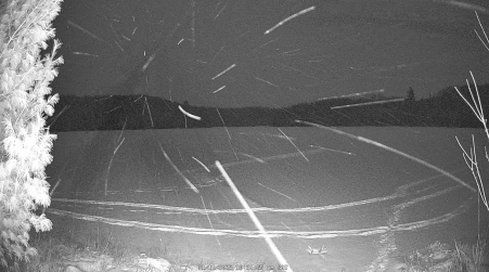 Image from 2025-01-11