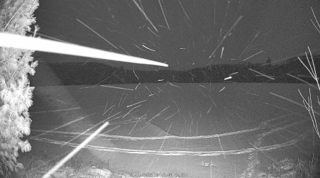 Image from 2025-01-11