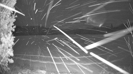 Image from 2025-01-11