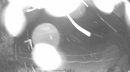 Image from 2025-01-12