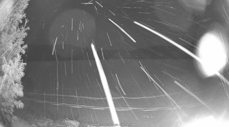 Image from 2025-01-12