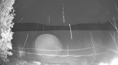 Image from 2025-01-12
