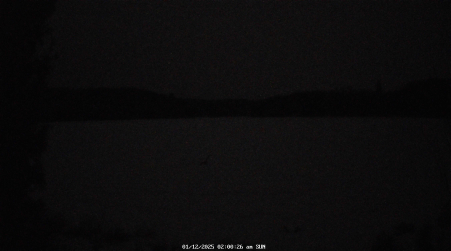 Image from 2025-01-12