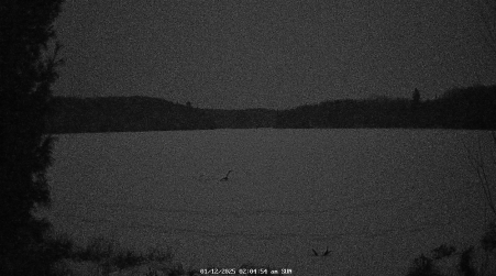 Image from 2025-01-12