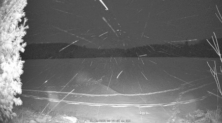 Image from 2025-01-12