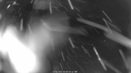 Image from 2025-01-12