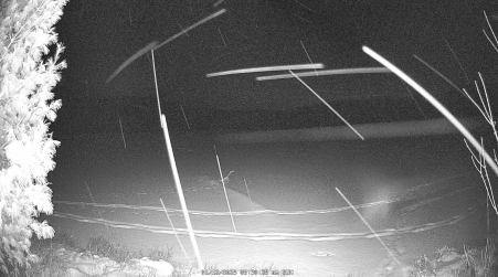 Image from 2025-01-12