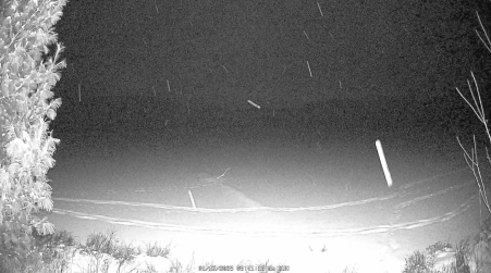 Image from 2025-01-12