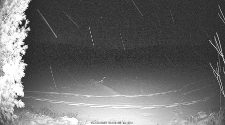 Image from 2025-01-12