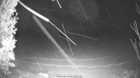 Image from 2025-01-12
