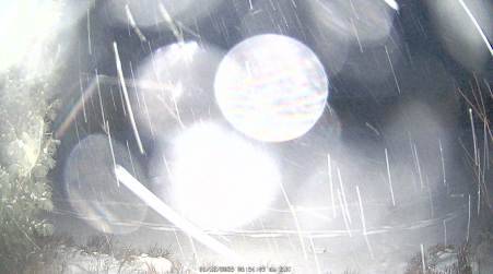 Image from 2025-01-12
