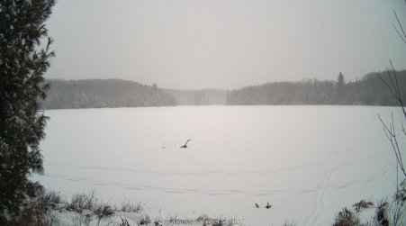 Image from 2025-01-12