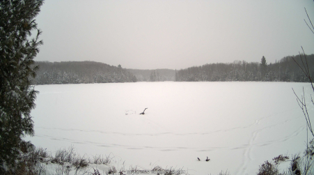 Image from 2025-01-12