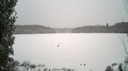 Image from 2025-01-12