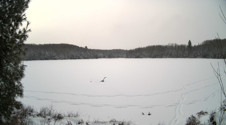 Image from 2025-01-12
