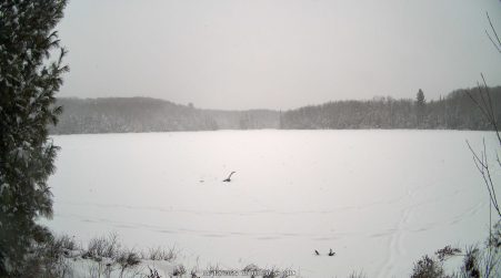 Image from 2025-01-12