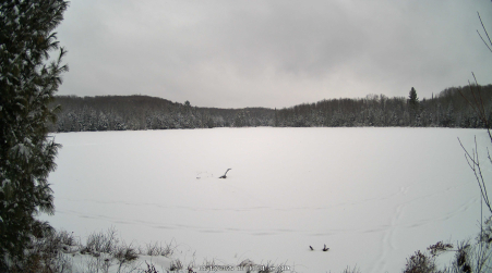 Image from 2025-01-12