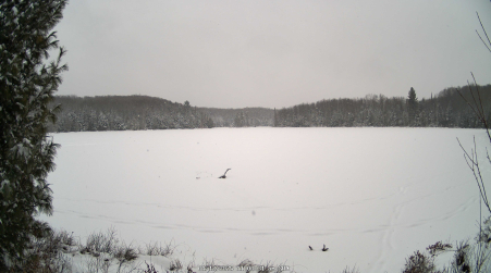 Image from 2025-01-12