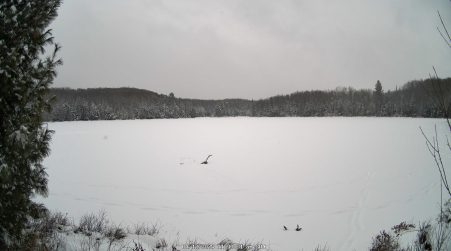 Image from 2025-01-12