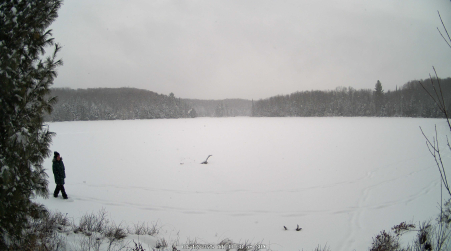 Image from 2025-01-12