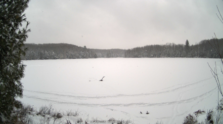 Image from 2025-01-12