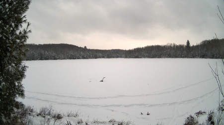 Image from 2025-01-12