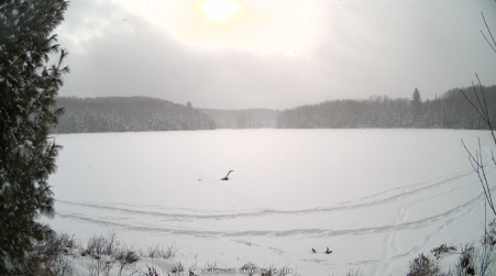Image from 2025-01-12