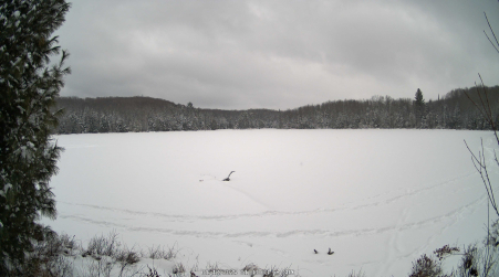 Image from 2025-01-12