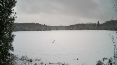 Image from 2025-01-12