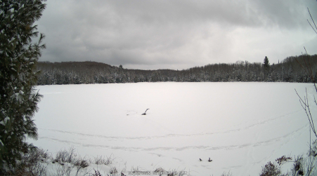 Image from 2025-01-12