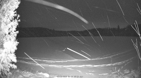 Image from 2025-01-12