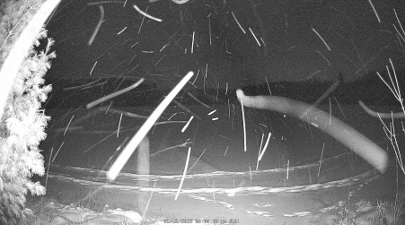 Image from 2025-01-12