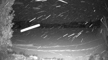 Image from 2025-01-12