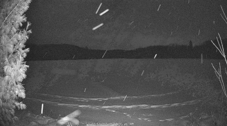 Image from 2025-01-12
