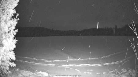 Image from 2025-01-12