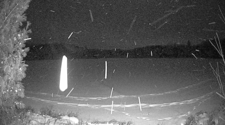 Image from 2025-01-12