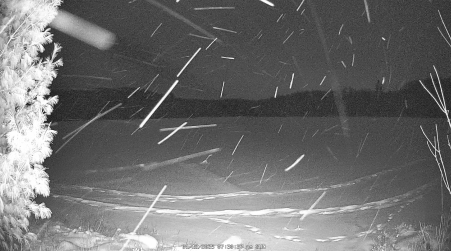 Image from 2025-01-12