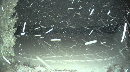 Image from 2025-01-12