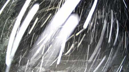 Image from 2025-01-12