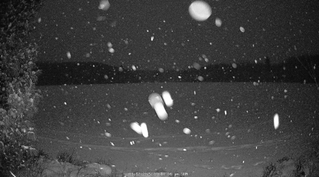 Image from 2025-01-12