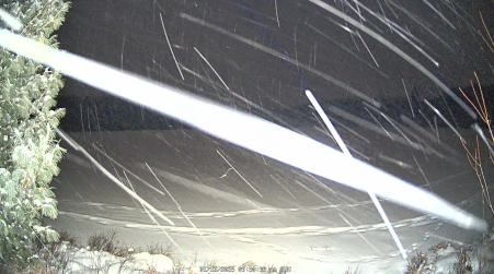 Image from 2025-01-12