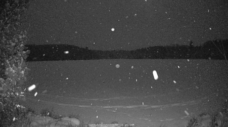 Image from 2025-01-12