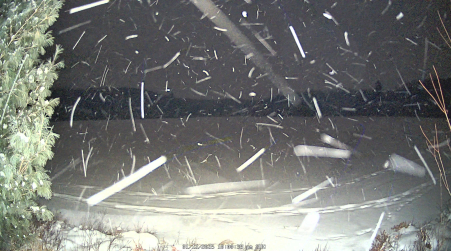 Image from 2025-01-12