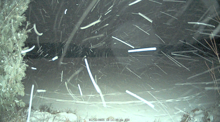 Image from 2025-01-12