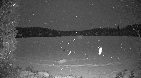 Image from 2025-01-12