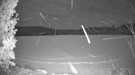 Image from 2025-01-12