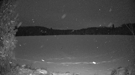 Image from 2025-01-13